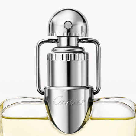 Γυναικείο Άρωμα Cartier Déclaration EDT 100 ml - Image 3