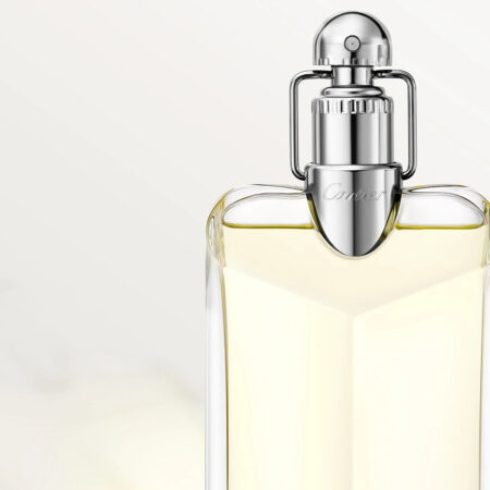 Γυναικείο Άρωμα Cartier Déclaration EDT 100 ml - Image 4