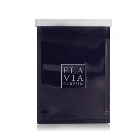 Ανδρικό Άρωμα Flavia Martine EDP 100 ml